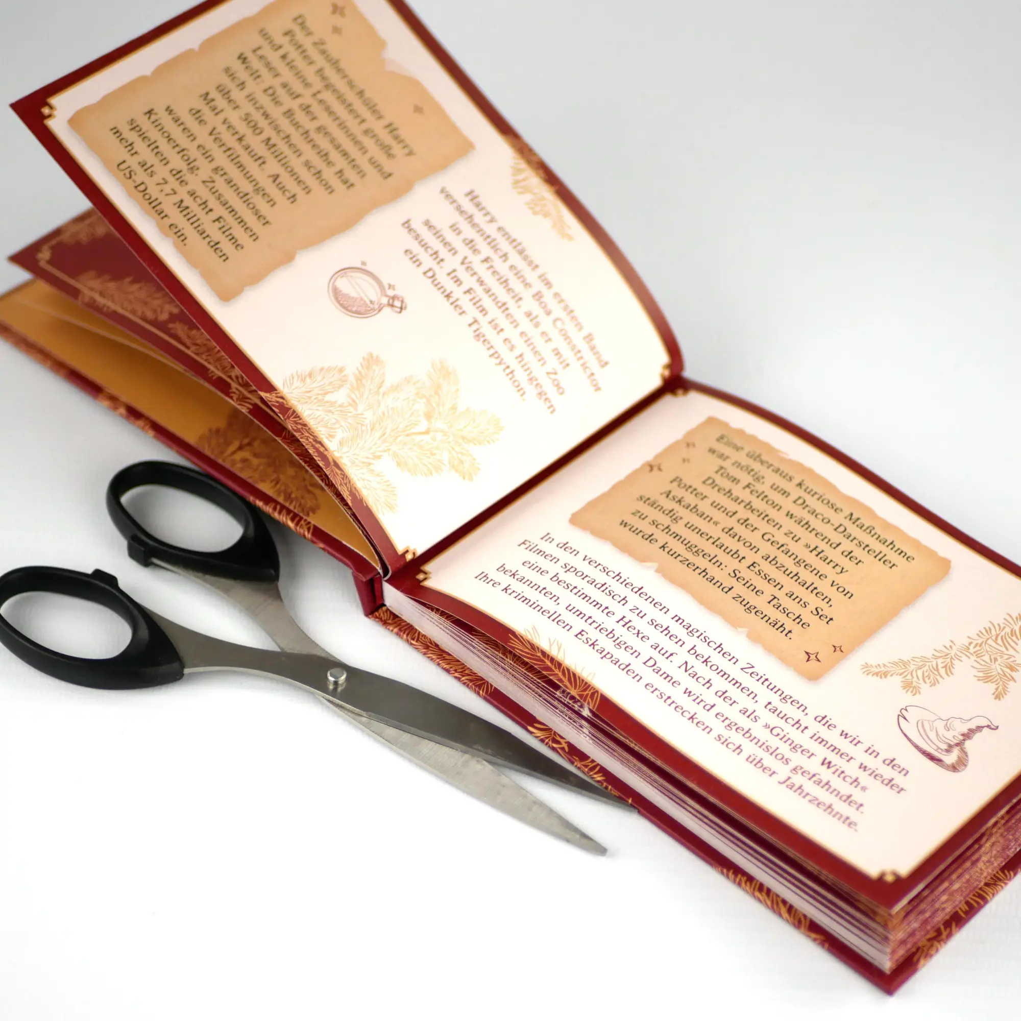 Bild: 9783742322258 | Alles, was ein Potter-Fan wissen muss | Millicent Shacklebolt | Buch