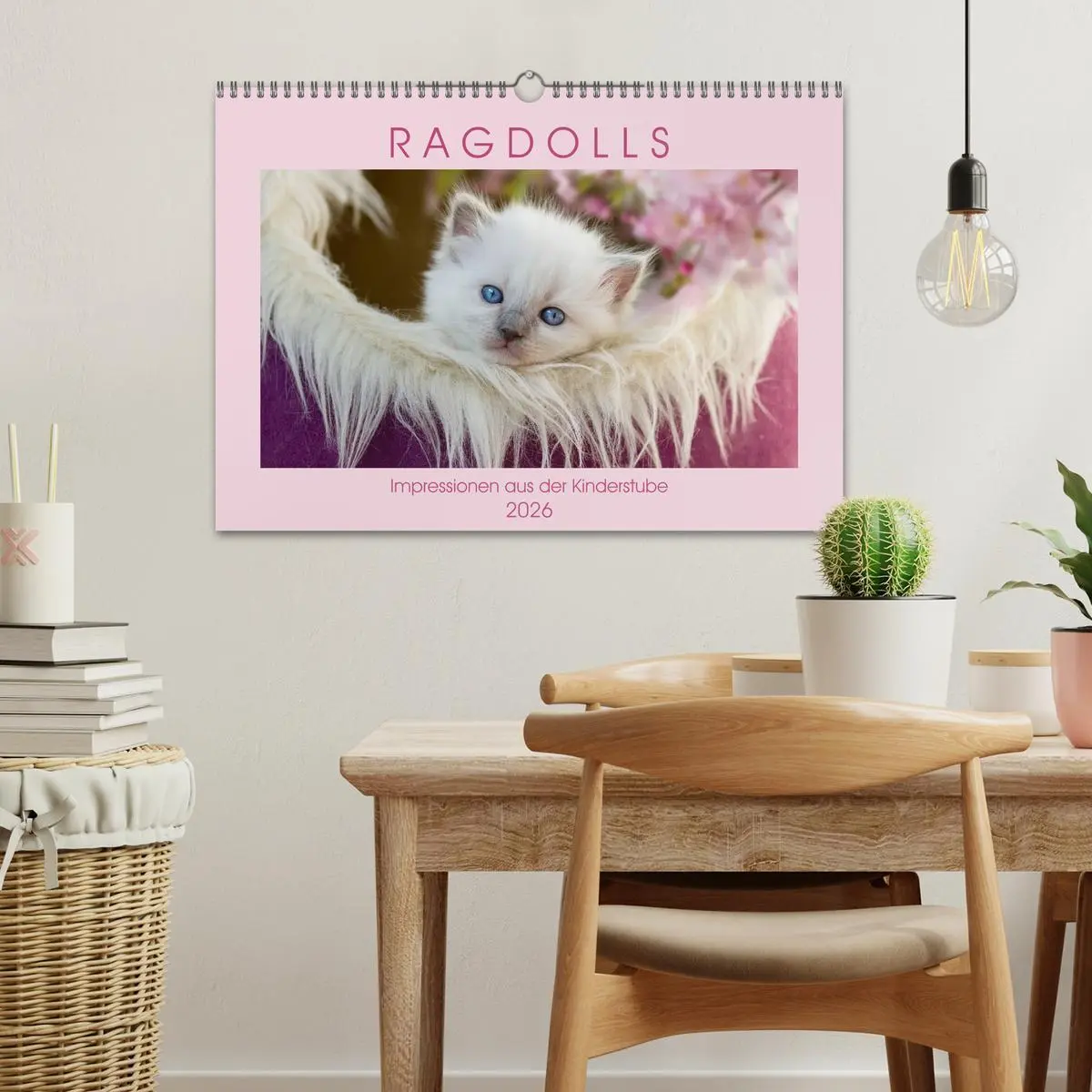 Bild: 9783457812358 | RAGDOLLS Impressionen aus der Kinderstube (Wandkalender 2026 DIN A3...