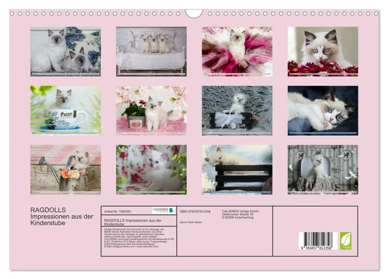 Bild: 9783457812358 | RAGDOLLS Impressionen aus der Kinderstube (Wandkalender 2026 DIN A3...