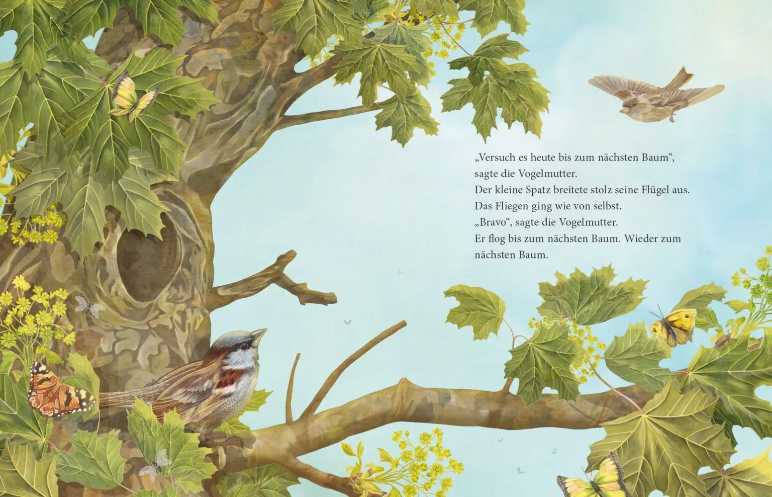 Bild: 9783707452358 | Ich kann's, sagte der kleine Spatz | Antonie Schneider | Buch | 32 S.
