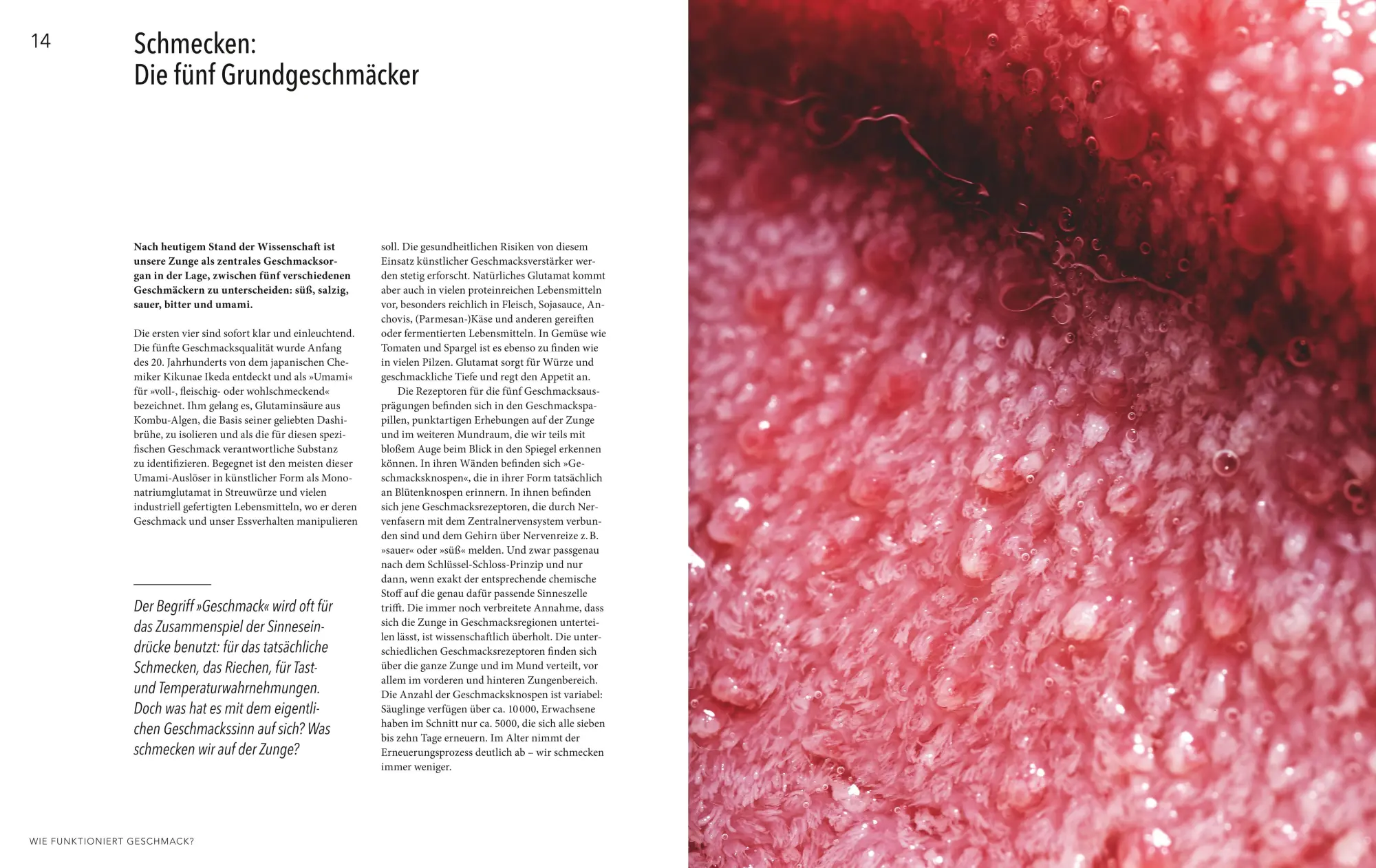 Bild: 9783833872358 | Abenteuer Geschmack! | Antje de Vries | Buch | GU Themenkochbuch