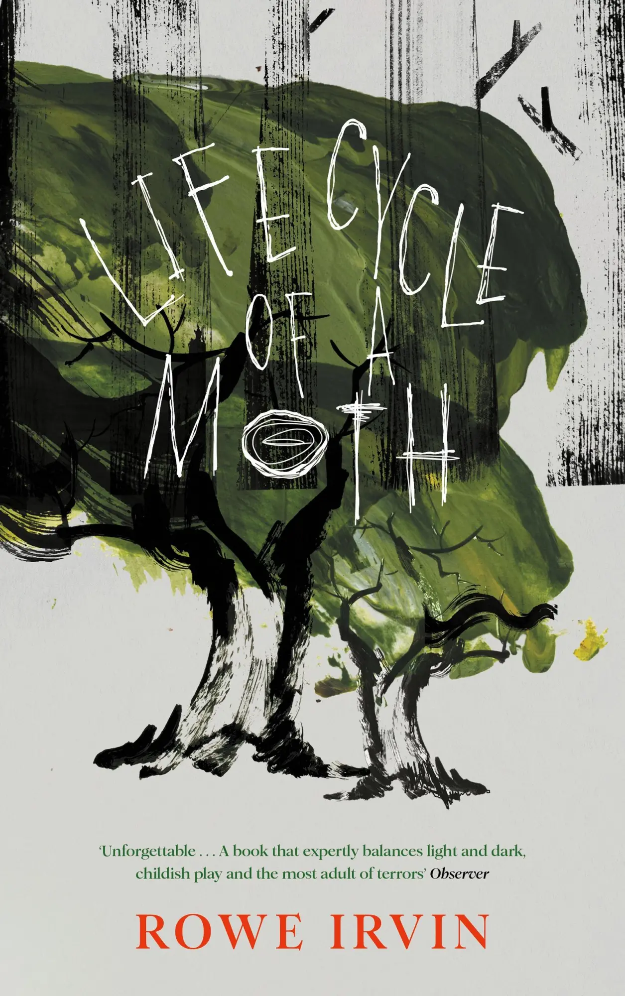 Cover: 9781837262458 | Life Cycle of a Moth | Rowe Irvin | Buch | Englisch | 2025