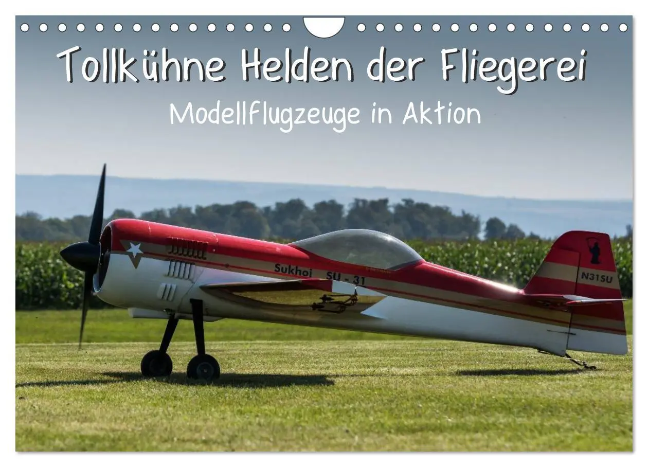 Cover: 9783457972458 | Tollkühne Helden der Fliegerei - Modellflugzeuge in Aktion...