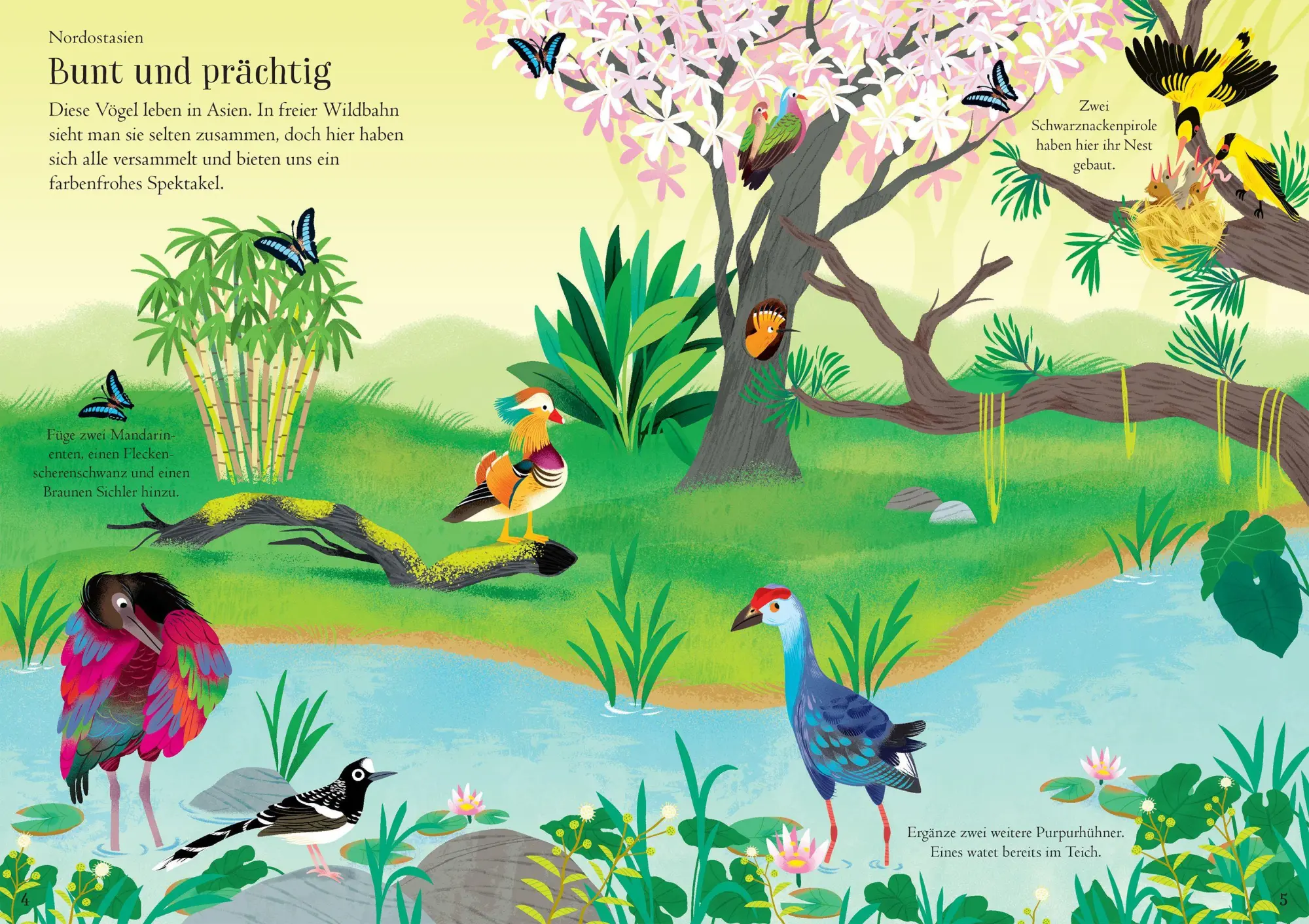 Bild: 9781035702558 | Mein Immer-wieder-Stickerbuch: Vögel | Taschenbuch | 32 S. | Deutsch