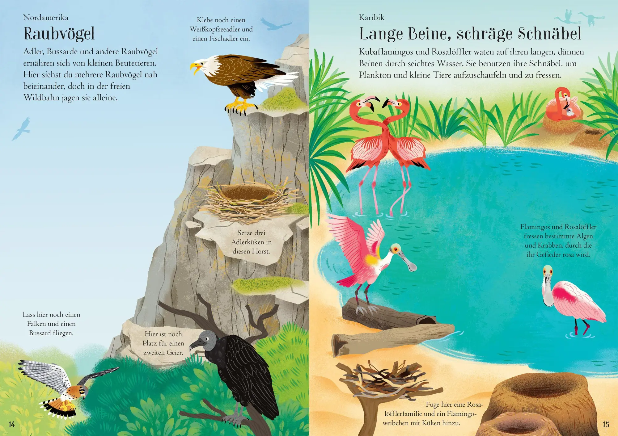 Bild: 9781035702558 | Mein Immer-wieder-Stickerbuch: Vögel | Taschenbuch | 32 S. | Deutsch