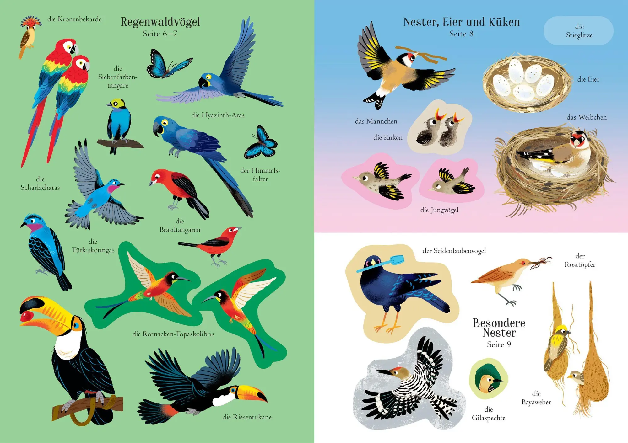 Bild: 9781035702558 | Mein Immer-wieder-Stickerbuch: Vögel | Taschenbuch | 32 S. | Deutsch