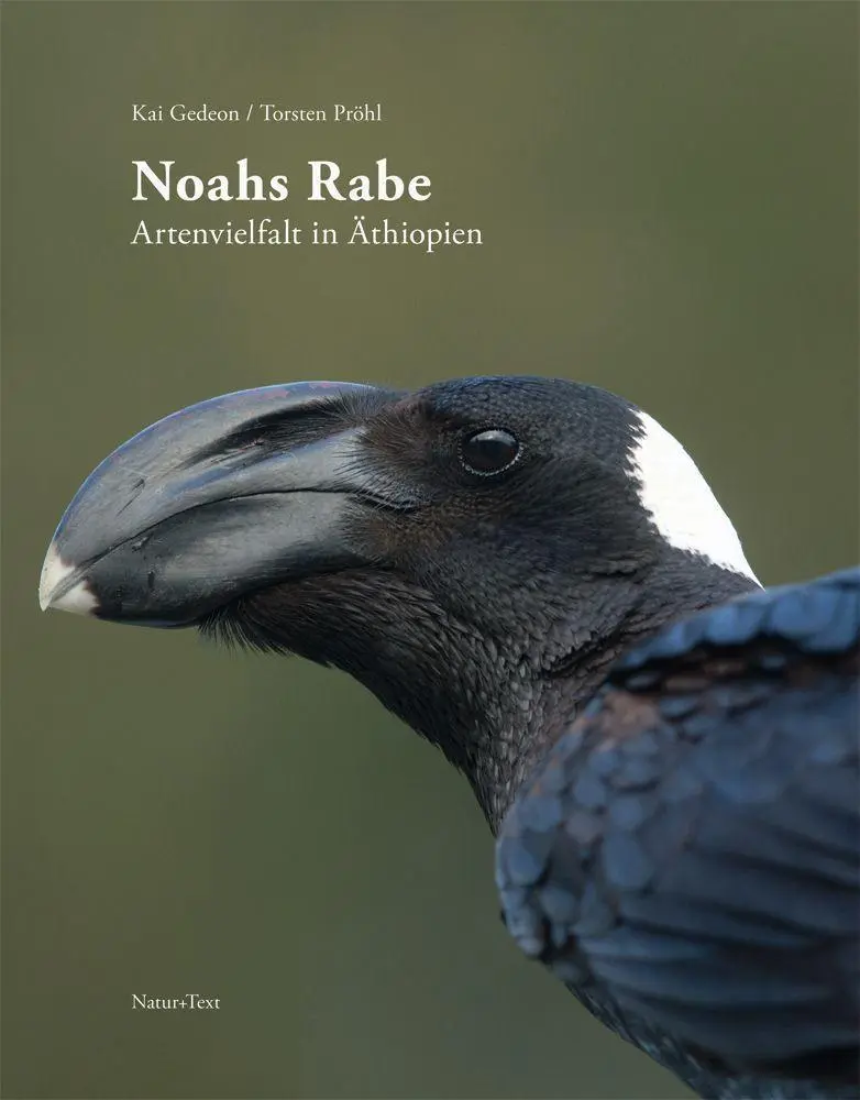 Cover: 9783942062558 | Noahs Rabe | Artenvielfalt in Äthiopien | Kai Gedeon | Buch | 320 S.