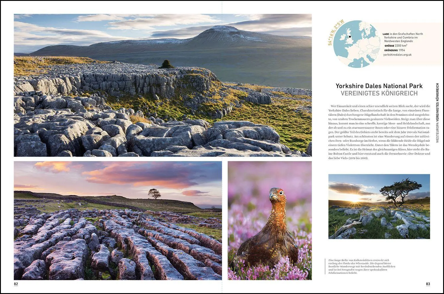 Bild: 9783969652558 | KUNTH Bildband Das wilde Europa | Andrea Lammert (u. a.) | Buch | 2025