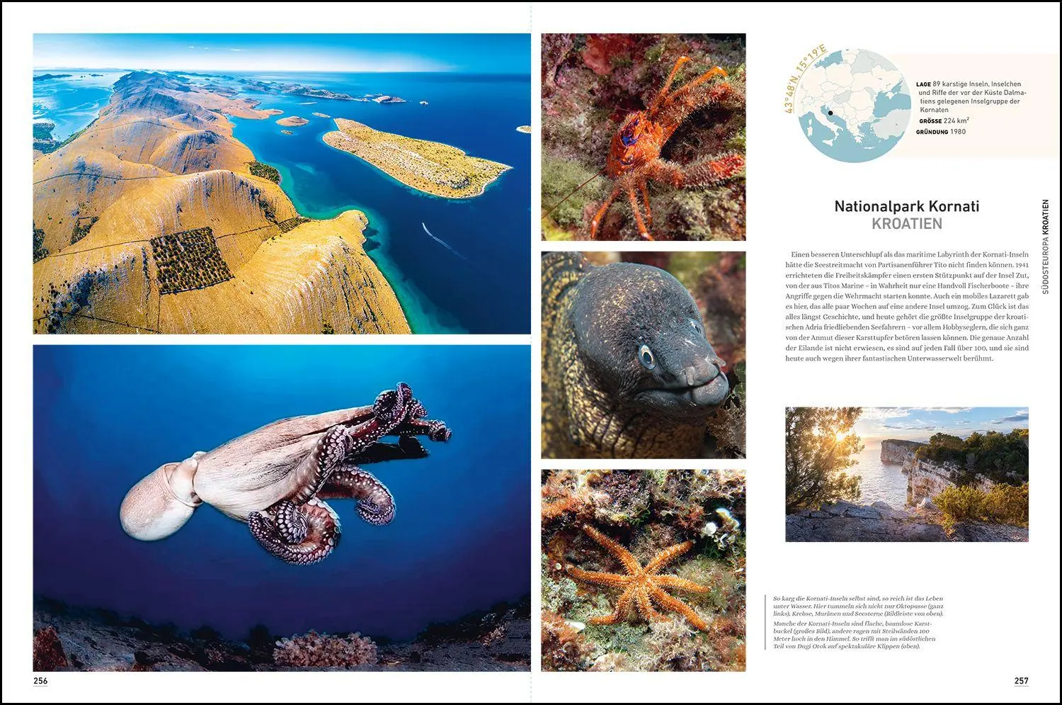 Bild: 9783969652558 | KUNTH Bildband Das wilde Europa | Andrea Lammert (u. a.) | Buch | 2025