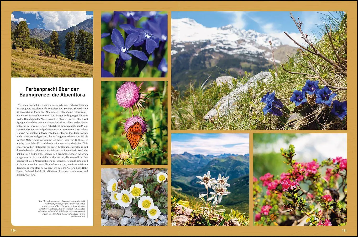 Bild: 9783969652558 | KUNTH Bildband Das wilde Europa | Andrea Lammert (u. a.) | Buch | 2025