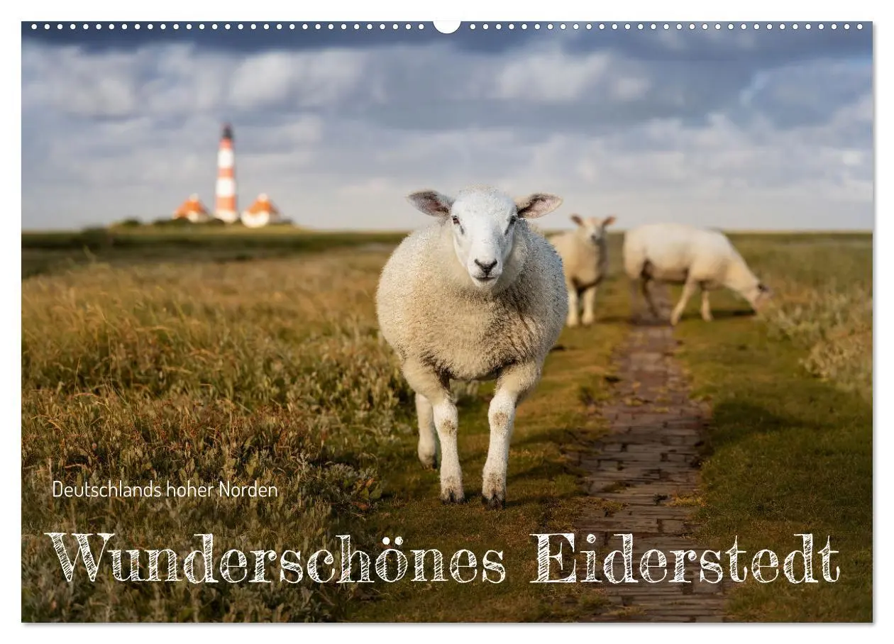 Cover: 9783457572658 | Wunderschönes Eiderstedt (Wandkalender 2026 DIN A2 quer), CALVENDO...