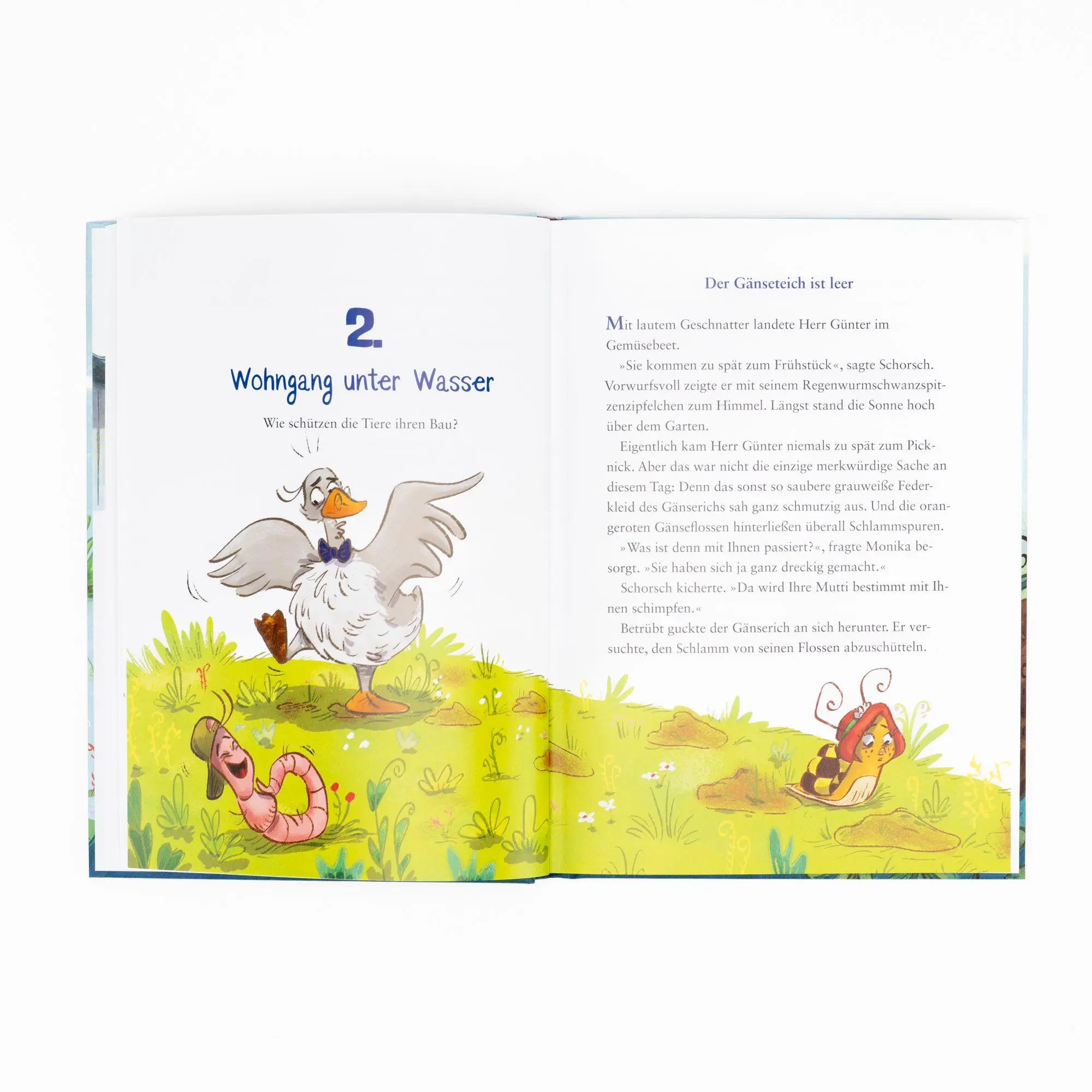Bild: 9783505152658 | Die kleine Schnecke Monika Häuschen: Warum bauen Biber Burgen? | Buch
