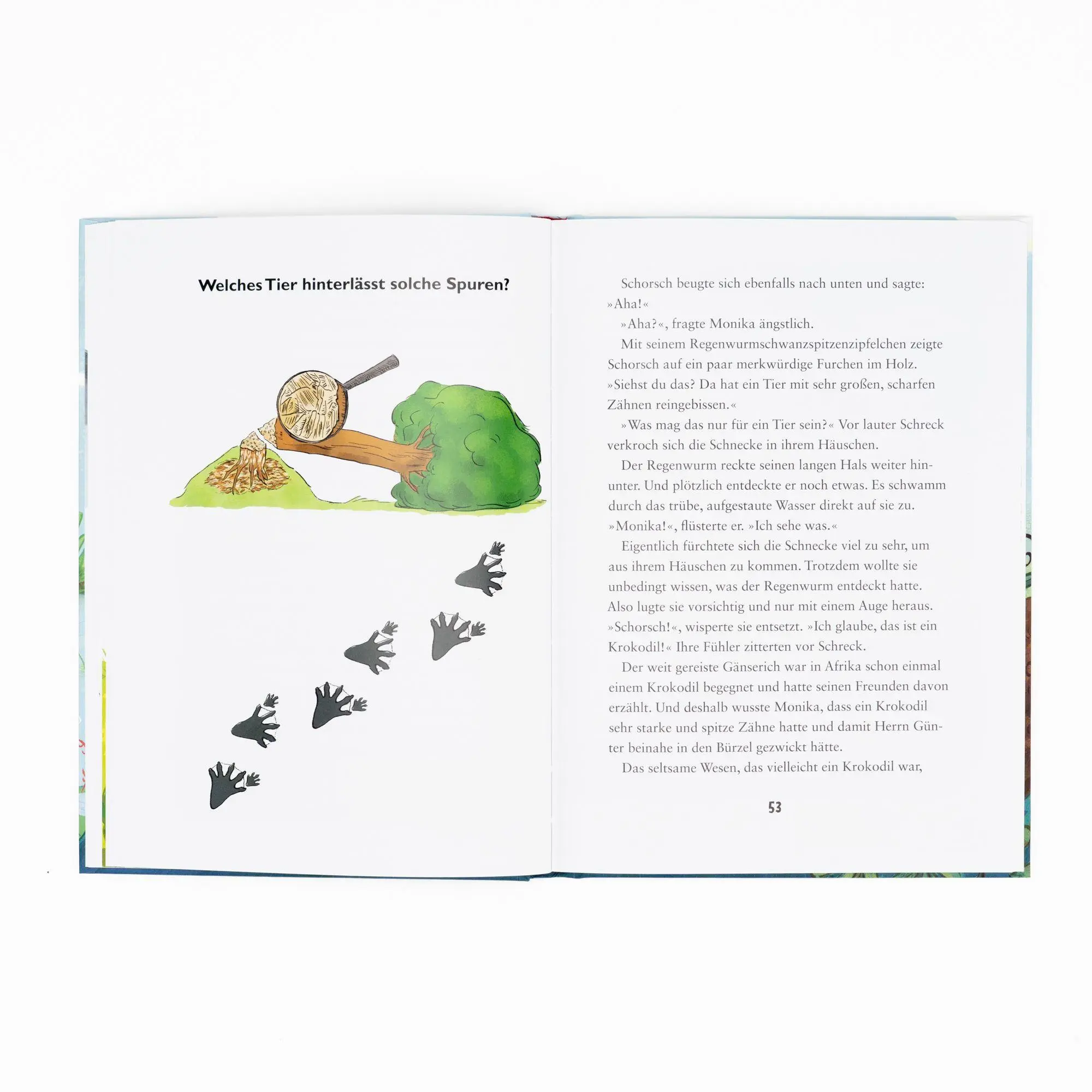 Bild: 9783505152658 | Die kleine Schnecke Monika Häuschen: Warum bauen Biber Burgen? | Buch