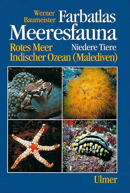 Cover: 9783800172658 | Meeresfauna - Niedere Tiere | Werner Baumeister | Taschenbuch | 320 S.