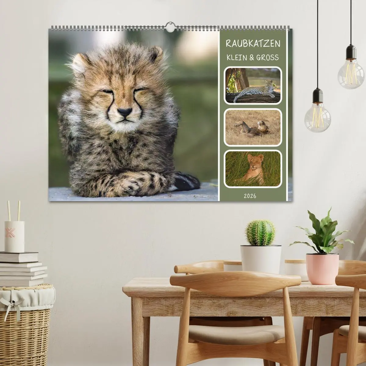 Bild: 9783457252758 | Raubkatzen - groß &amp; klein (Wandkalender 2026 DIN A2 quer), CALVENDO...