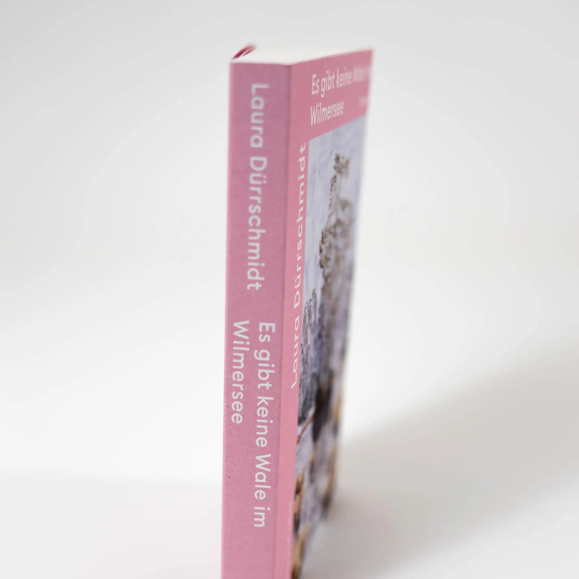 Bild: 9783365002858 | Es gibt keine Wale im Wilmersee | Roman | Laura Dürrschmidt | Buch