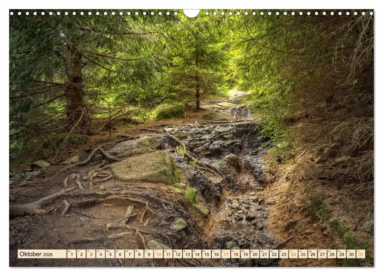 Bild: 9783457622858 | Harz - Urlaub (Wandkalender 2026 DIN A3 quer), CALVENDO Monatskalender