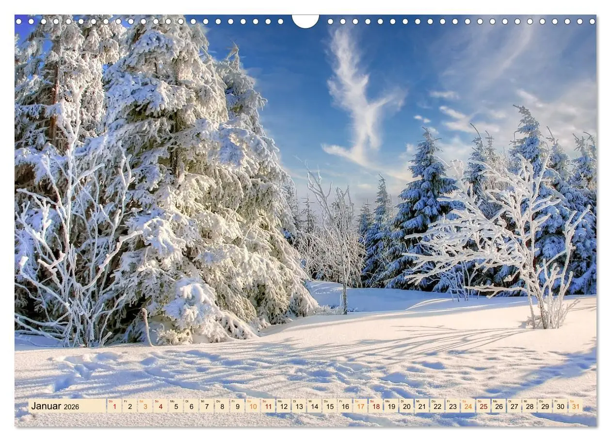 Bild: 9783457622858 | Harz - Urlaub (Wandkalender 2026 DIN A3 quer), CALVENDO Monatskalender