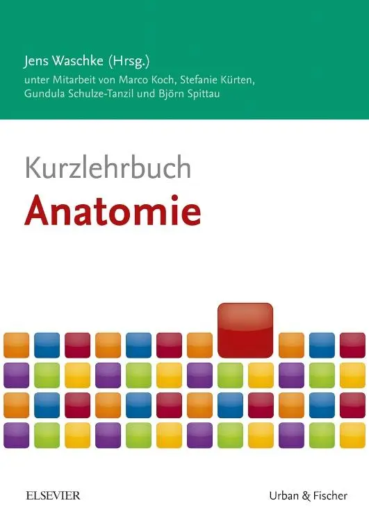 Cover: 9783437432958 | Kurzlehrbuch Anatomie | Marco Koch (u. a.) | Taschenbuch | XVI | 2017