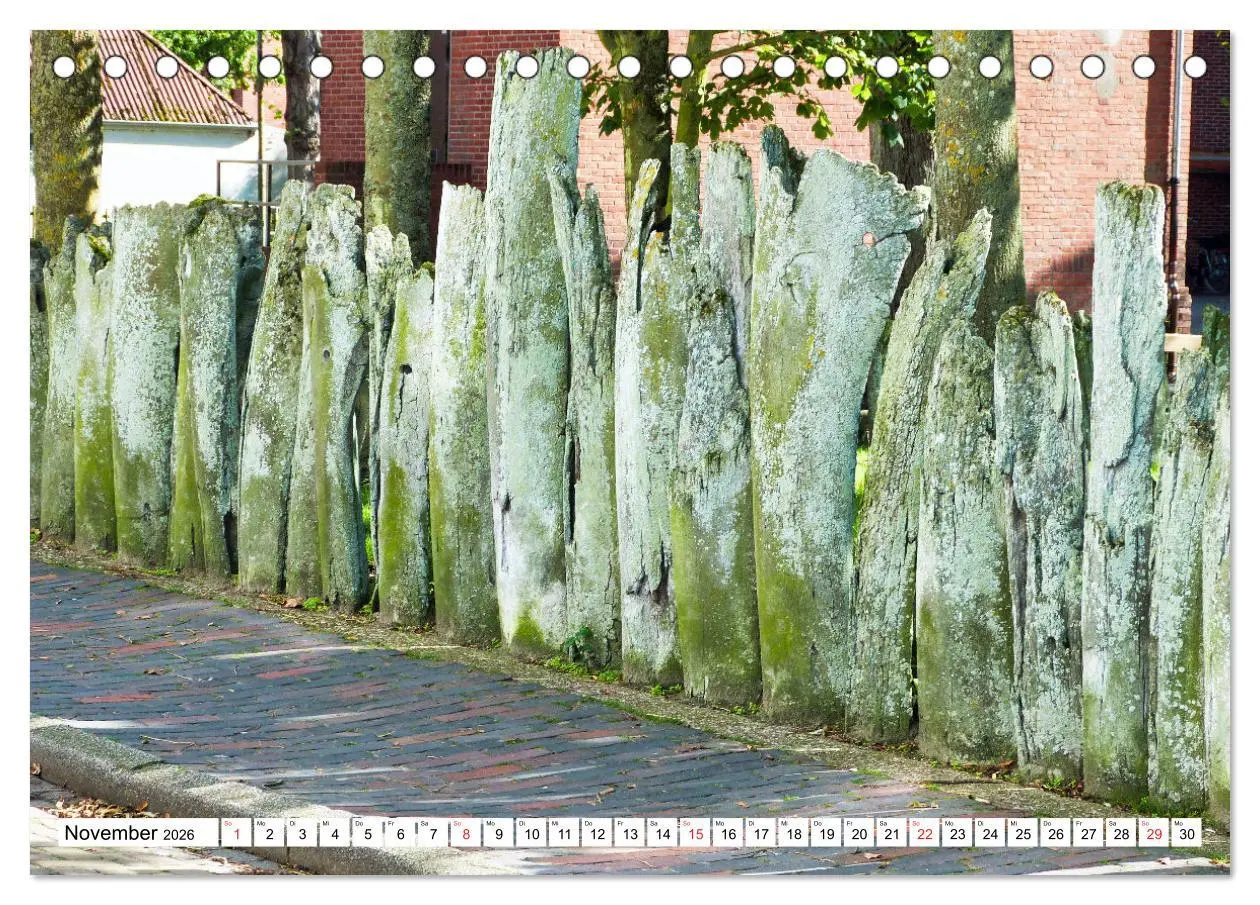 Bild: 9783457302958 | Verliebt in Borkum (Tischkalender 2026 DIN A5 quer), CALVENDO...
