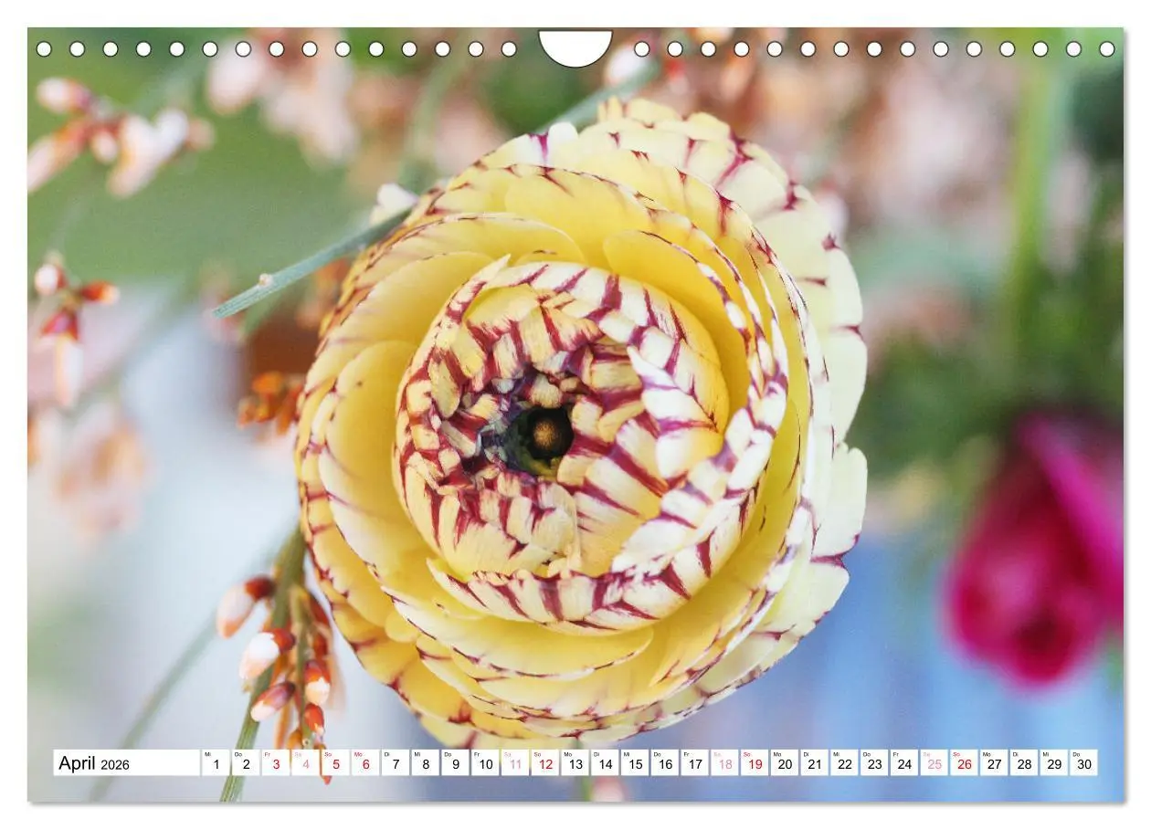 Bild: 9783457542958 | Blumenpracht - Blüten und Sträuße (Wandkalender 2026 DIN A4 quer),...