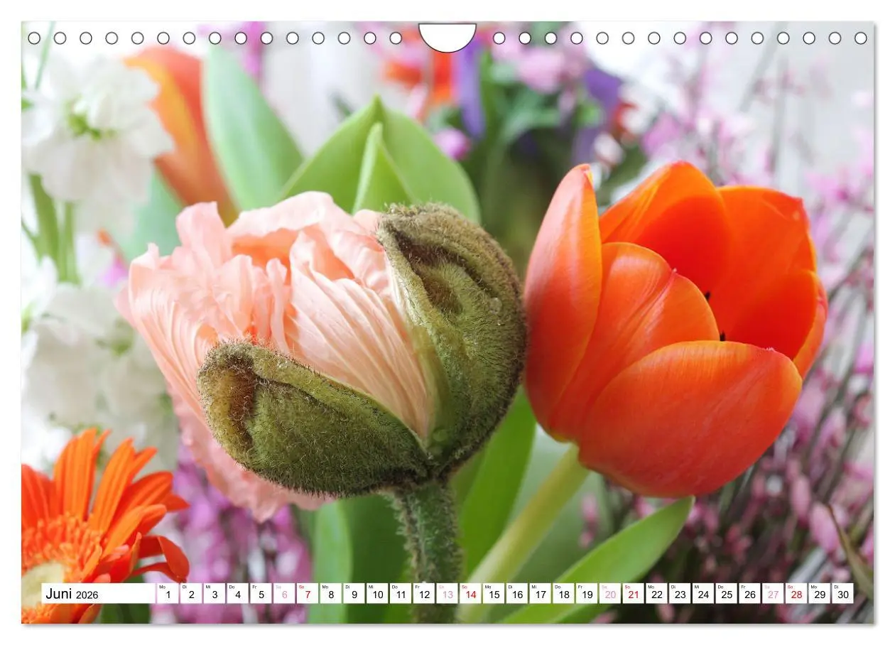 Bild: 9783457542958 | Blumenpracht - Blüten und Sträuße (Wandkalender 2026 DIN A4 quer),...