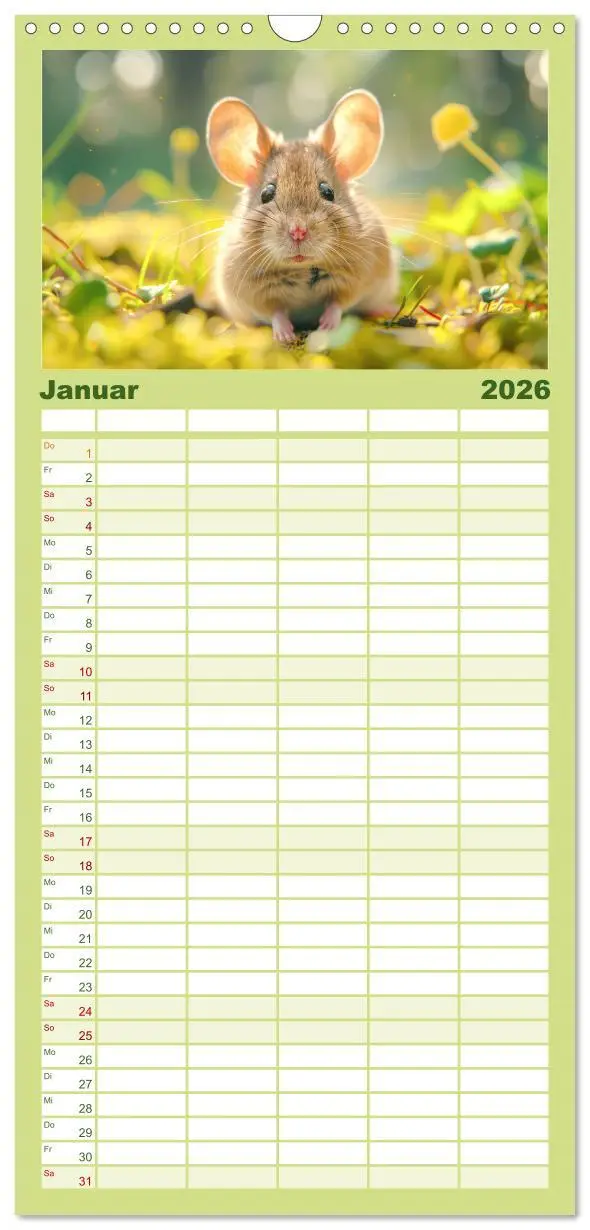 Bild: 9783516492958 | Familienplaner 2026 - Eine Welt entzückend kleiner Tierchen mit 5...