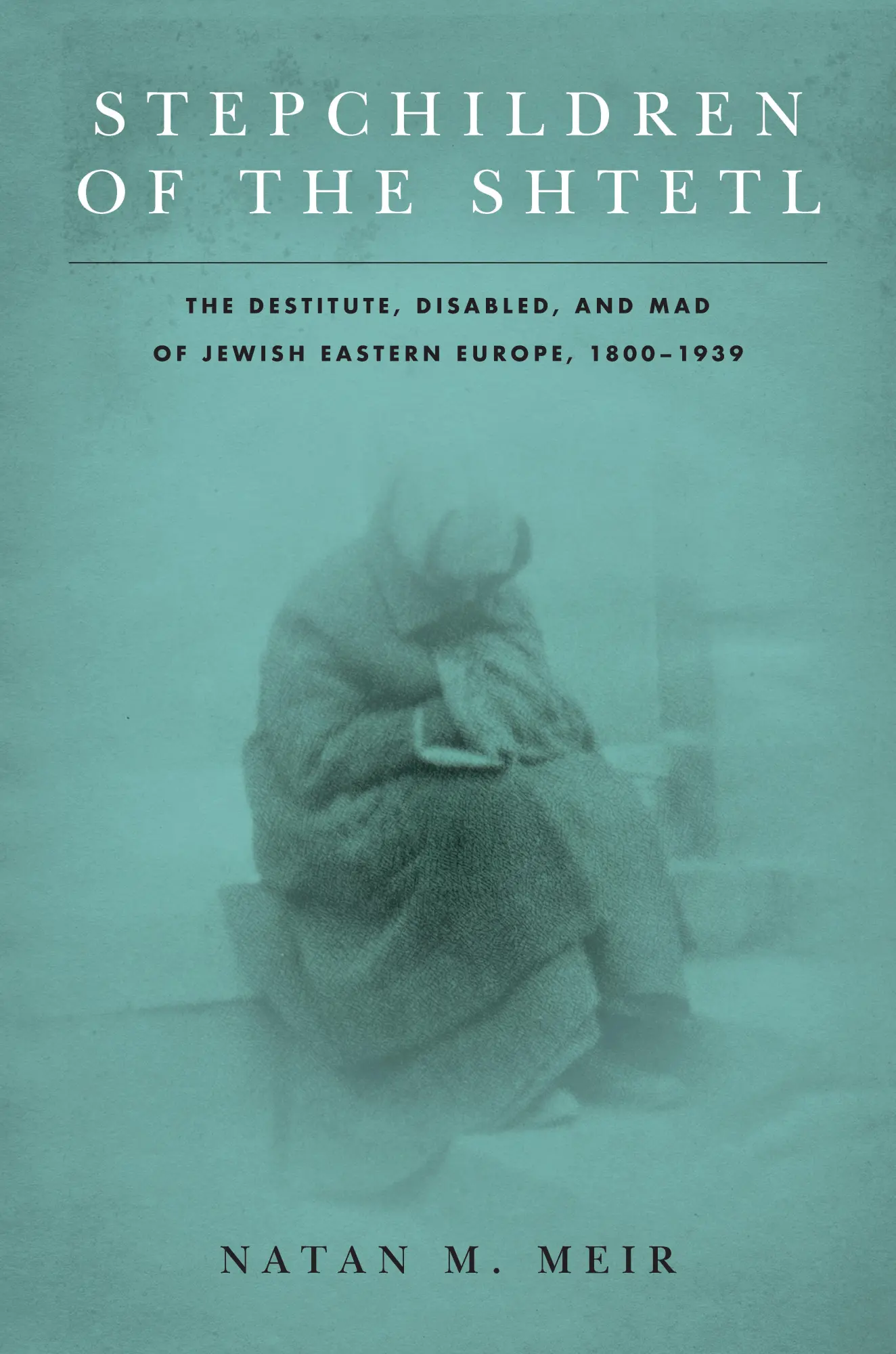 Cover: 9781503613058 | Stepchildren of the Shtetl | Natan M. Meir | Taschenbuch | Englisch
