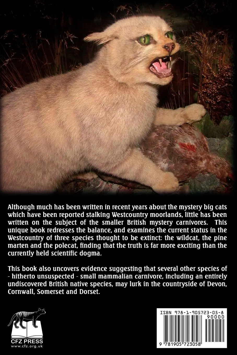 Rückseite: 9781905723058 | The Smaller Mystery Carnivores of the Westcountry | Jonathan Downes