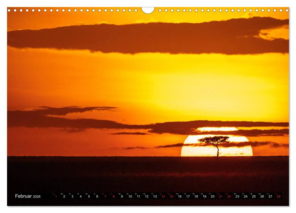 Bild: 9783457813058 | Safari Afrika (Wandkalender 2026 DIN A3 quer), CALVENDO Monatskalender