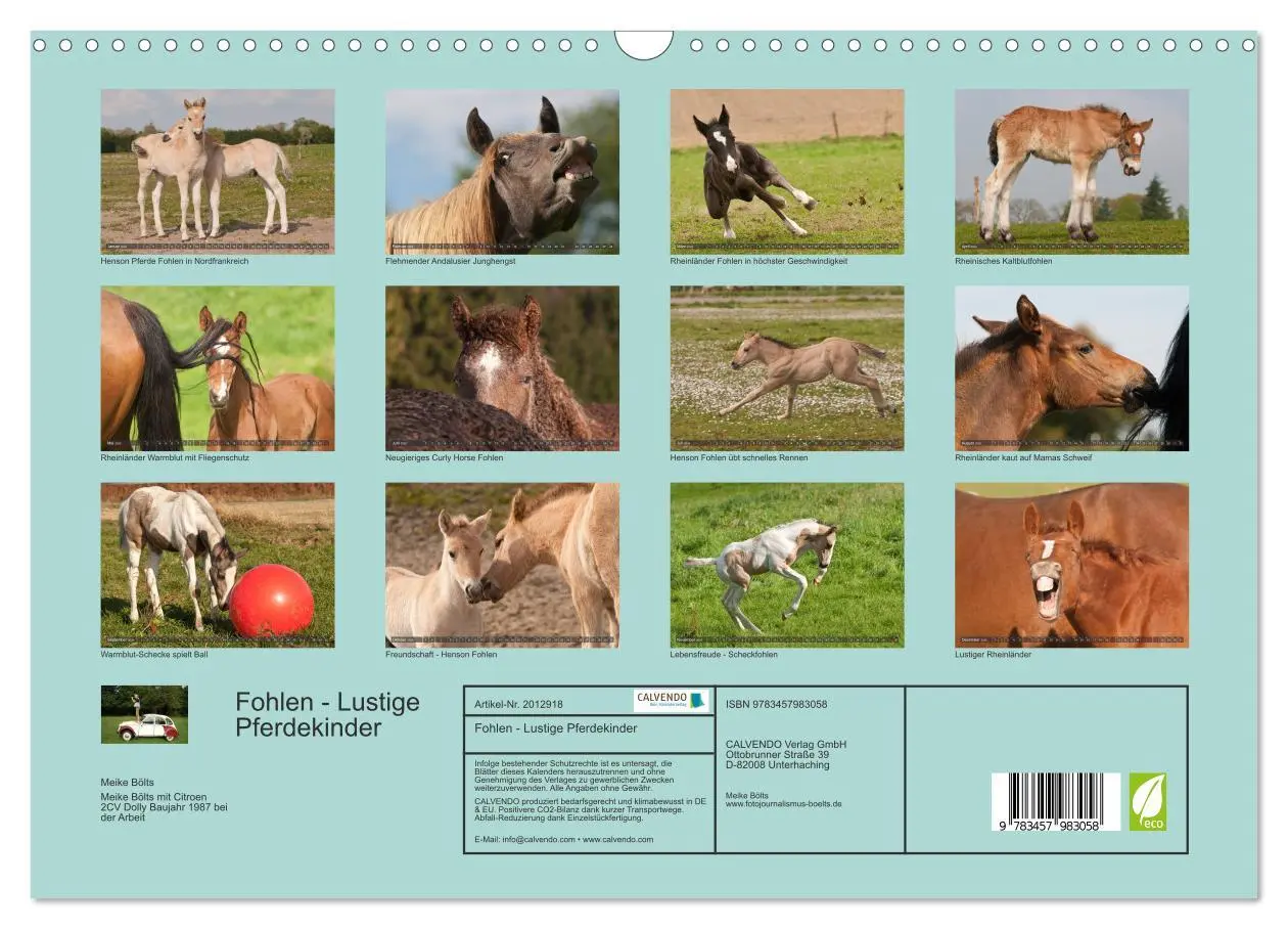 Bild: 9783457983058 | Fohlen - Lustige Pferdekinder (Wandkalender 2026 DIN A3 quer),...