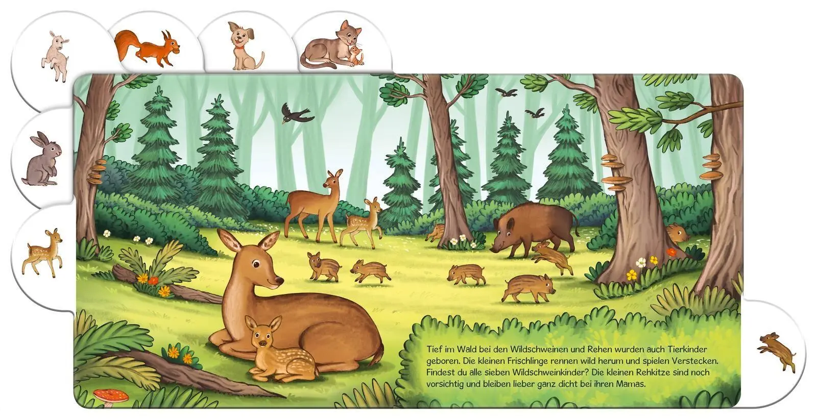 Bild: 9783551173058 | Schau mal, die Tierkinder | Julia Hofmann | Buch | 16 S. | Deutsch