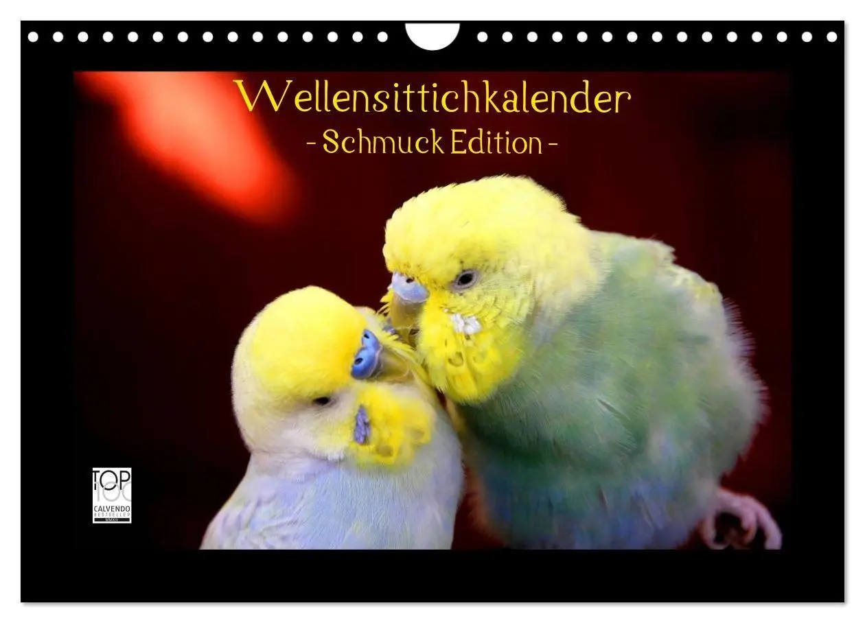 Cover: 9783594123058 | Wellensittichkalender - Schmuck Edition (Wandkalender 2027 DIN A4...