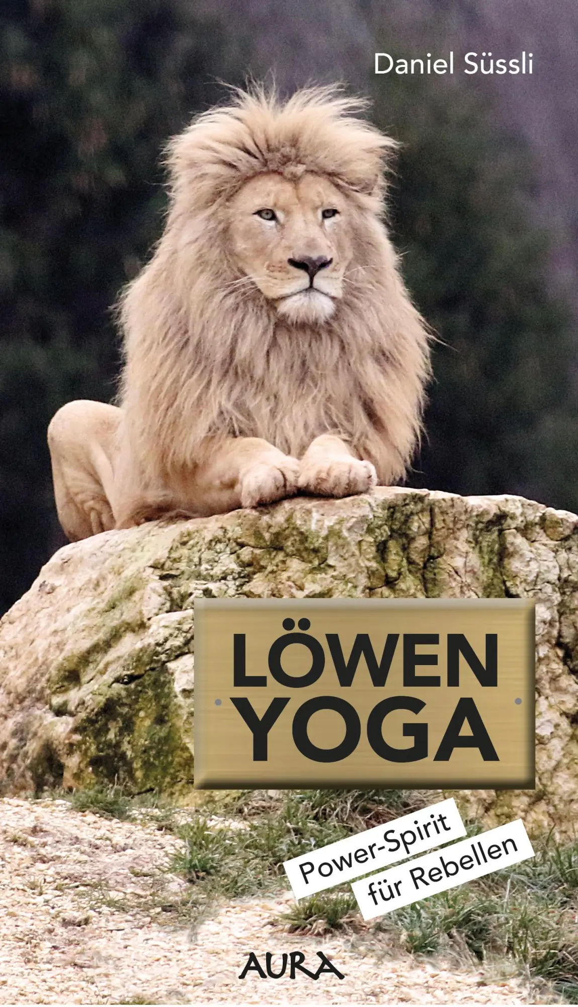 Cover: 9783905383058 | Löwen-Yoga | Power-Spirit für Rebellen | Daniel Süssli | Taschenbuch