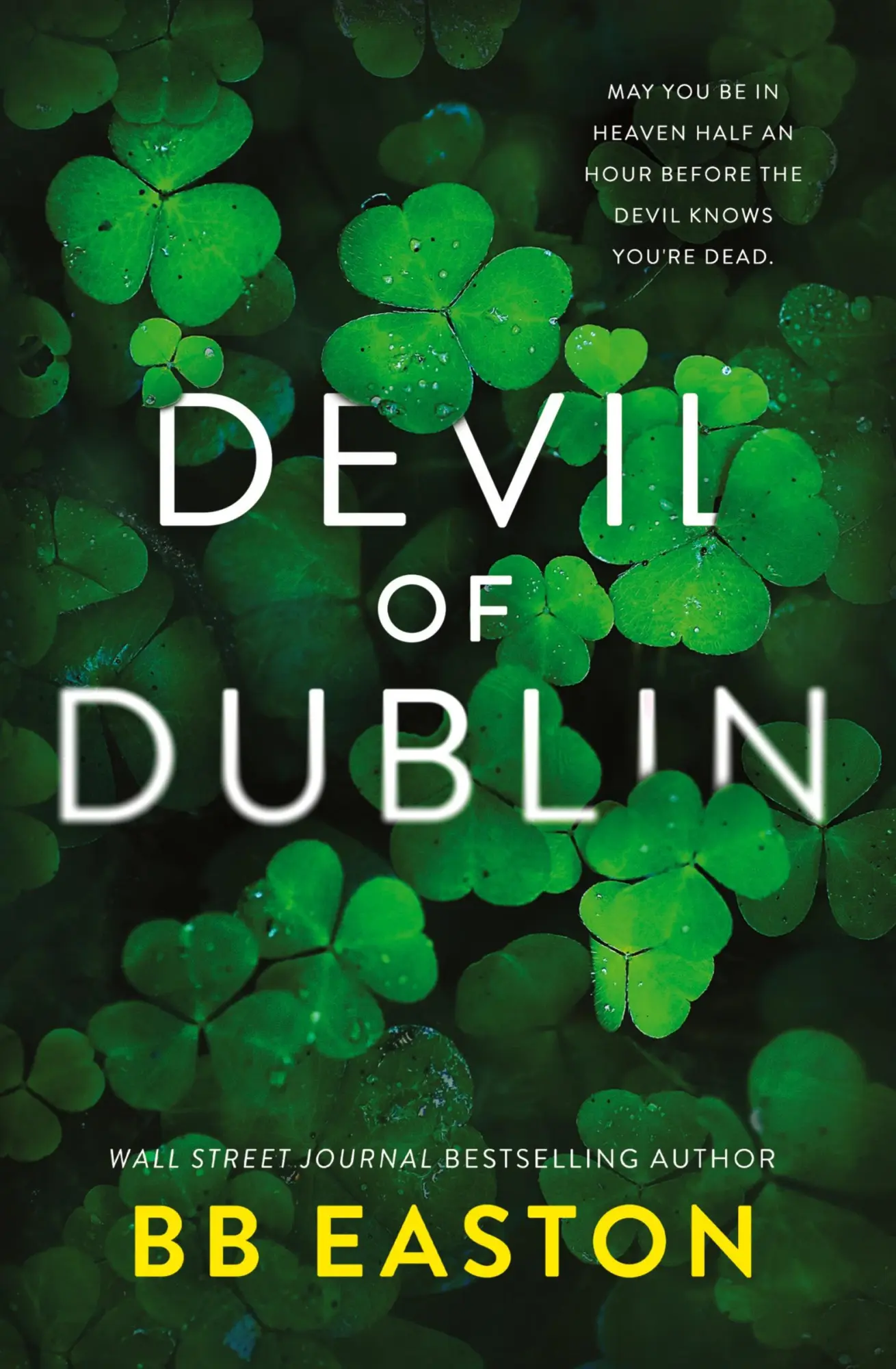 Cover: 9798985073058 | Devil of Dublin | A Dark Irish Mafia Romance (Special Edition) | Buch