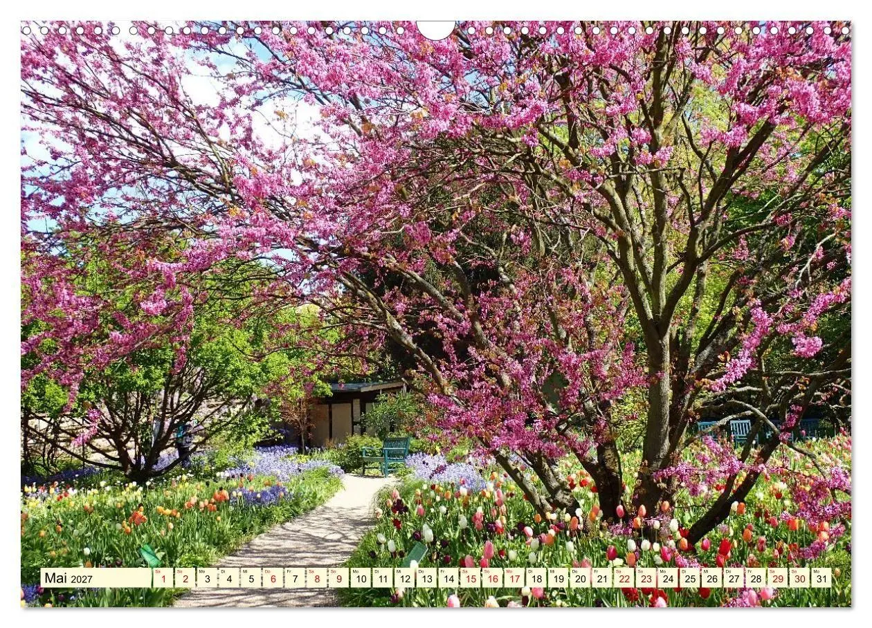 Bild: 9783516753158 | Weinheim im Herzen der Bergstraße (Wandkalender 2027 DIN A3 quer),...