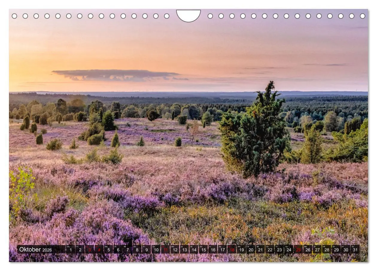 Bild: 9783457583258 | Die Lüneburger Heide - Faszination einer Naturlandschaft...