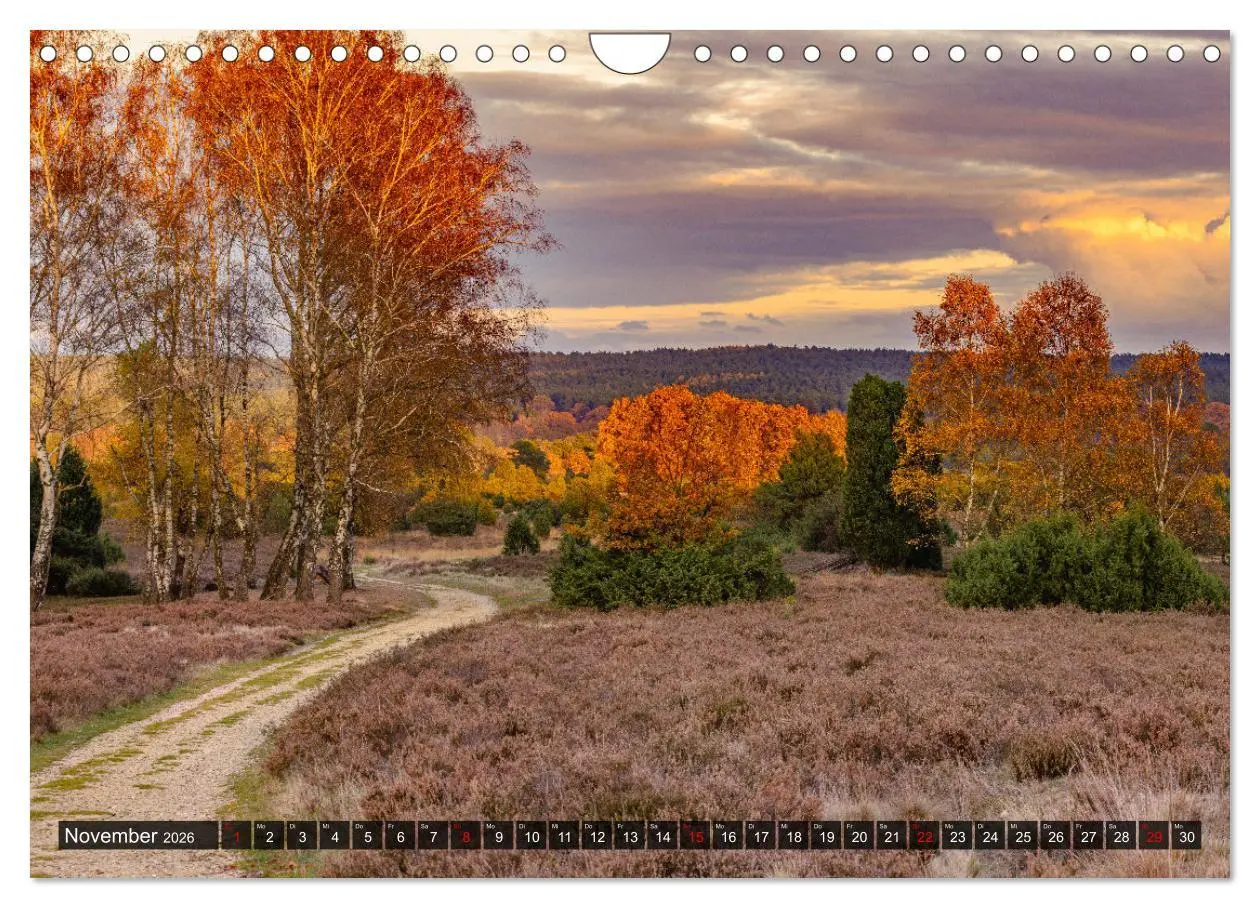 Bild: 9783457583258 | Die Lüneburger Heide - Faszination einer Naturlandschaft...