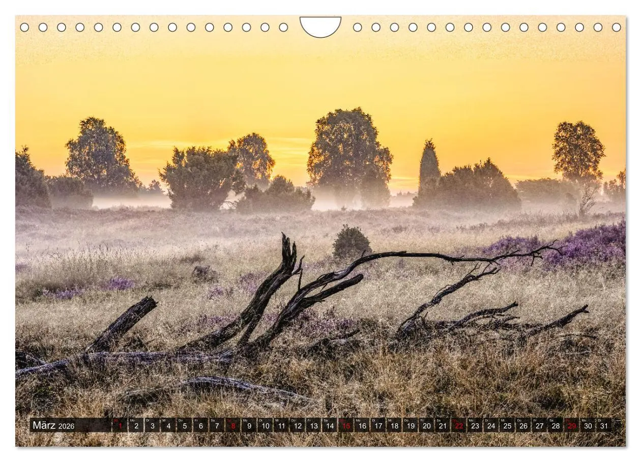 Bild: 9783457583258 | Die Lüneburger Heide - Faszination einer Naturlandschaft...
