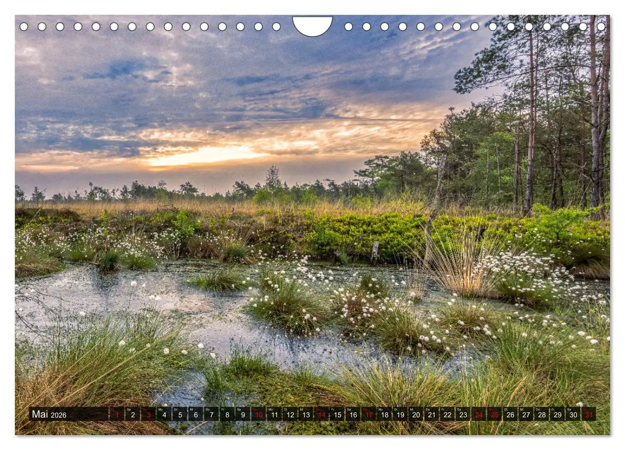 Bild: 9783457583258 | Die Lüneburger Heide - Faszination einer Naturlandschaft...