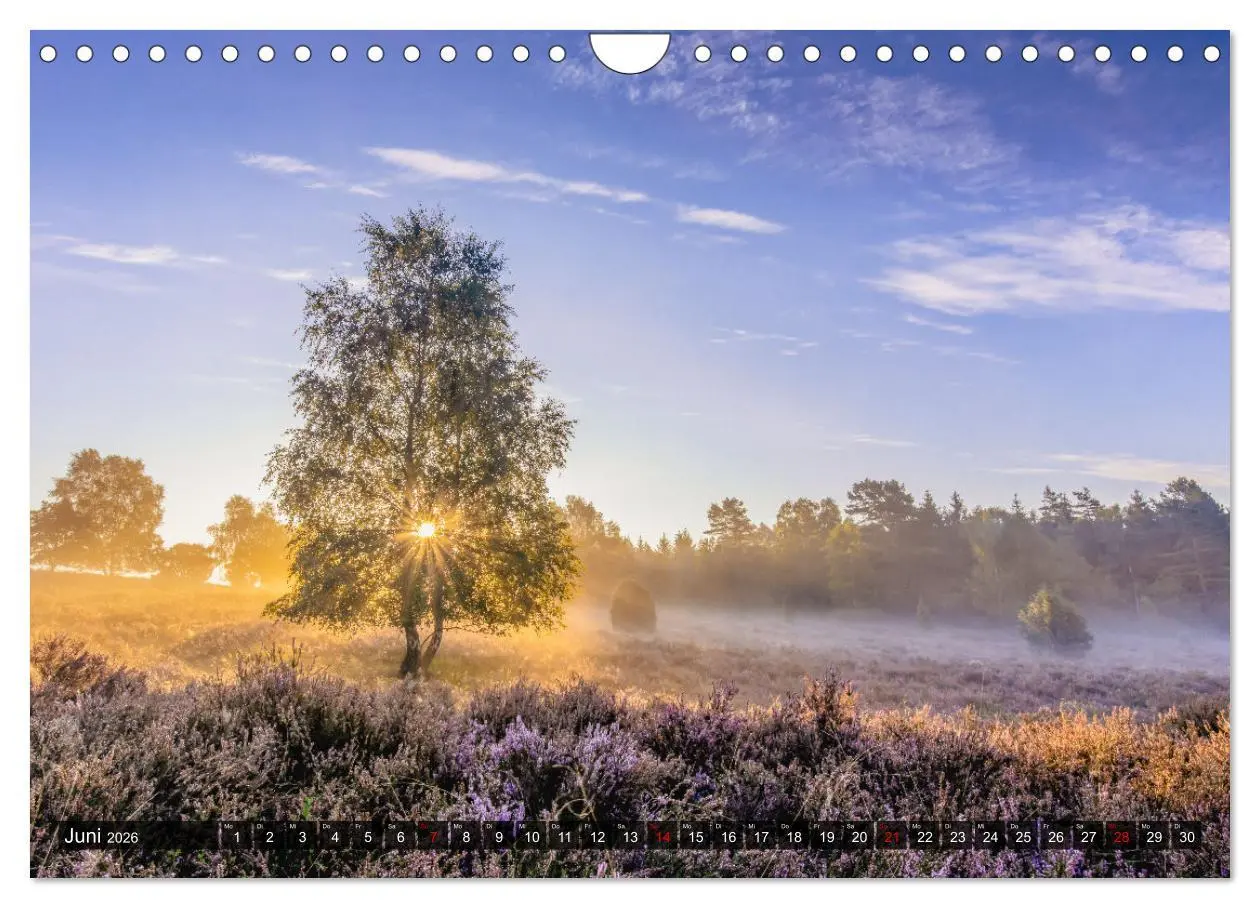 Bild: 9783457583258 | Die Lüneburger Heide - Faszination einer Naturlandschaft...