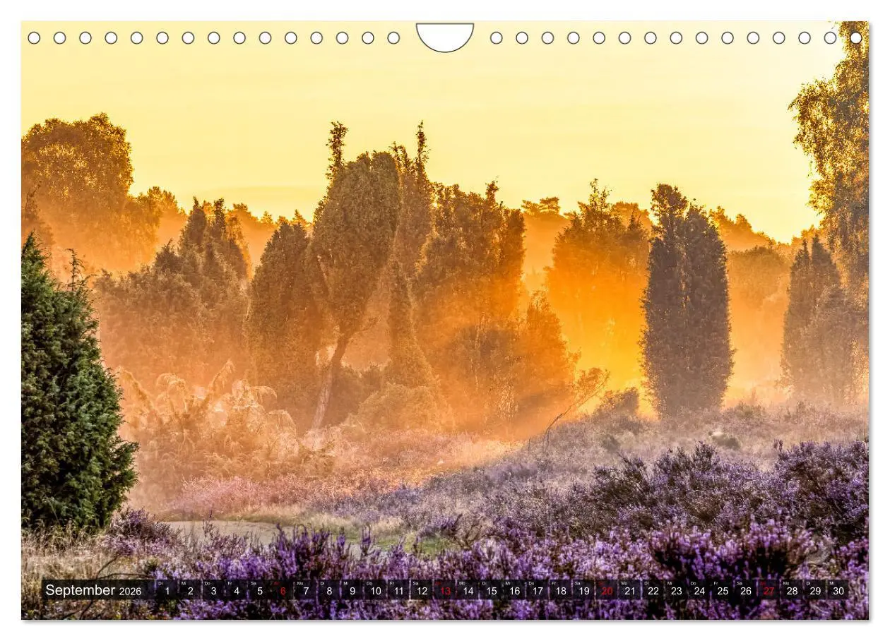 Bild: 9783457583258 | Die Lüneburger Heide - Faszination einer Naturlandschaft...