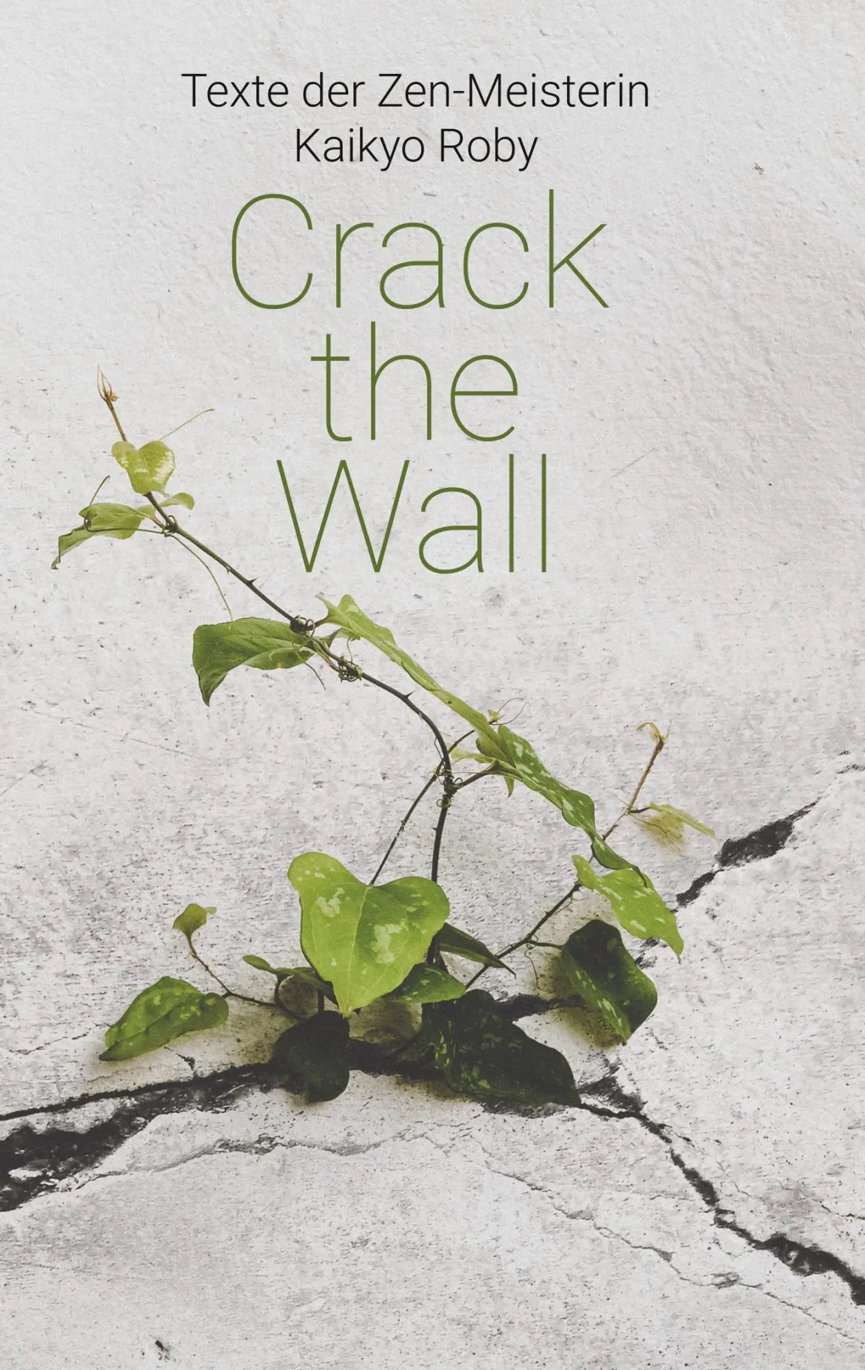 Cover: 9783749493258 | Crack the Wall | Kyoku Barbara Lutz | Taschenbuch | Deutsch | 2020