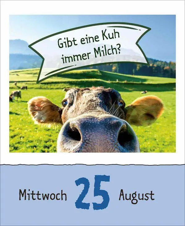 Bild: 9783819303258 | Warum wackelt Wackelpudding? 2027 | Korsch Verlag | Kalender | 328 S.