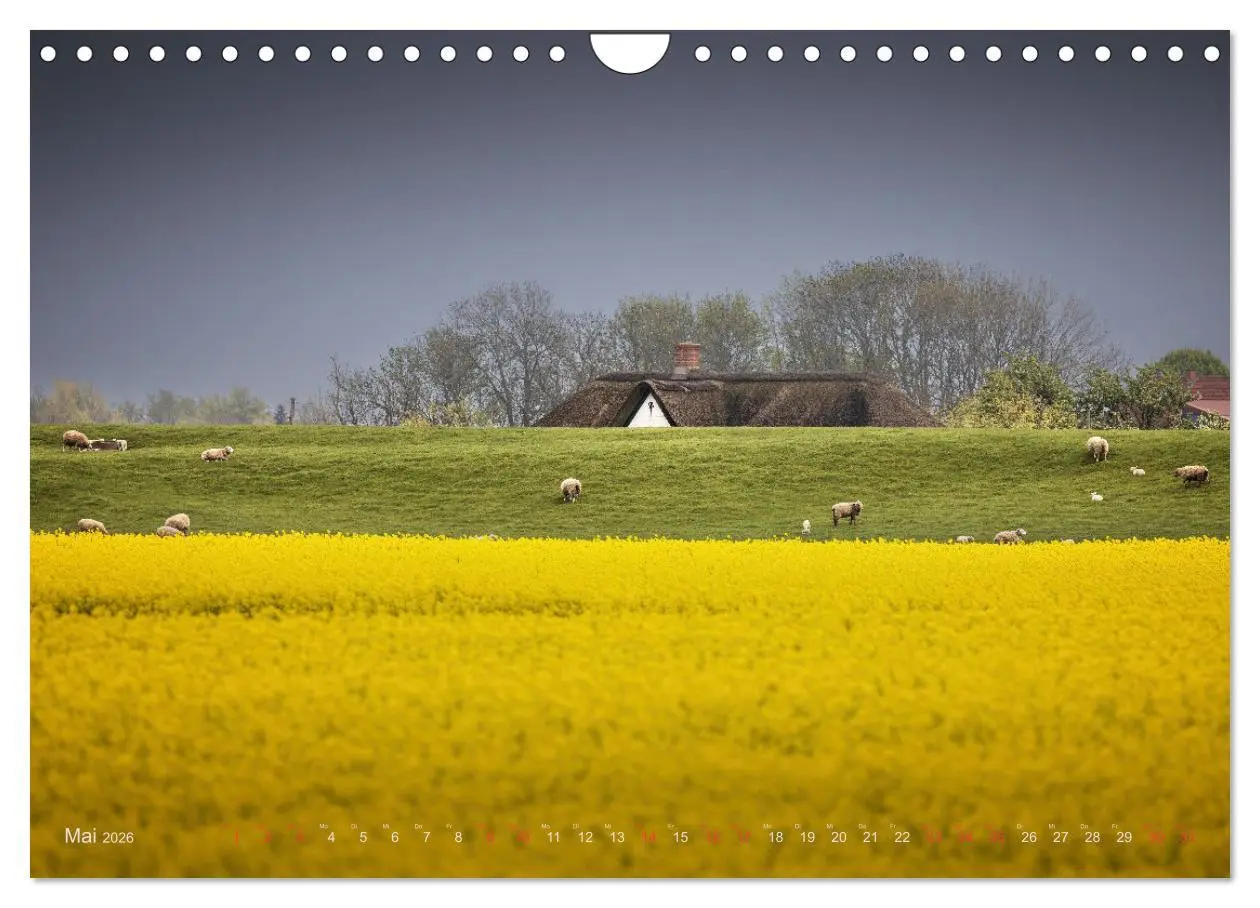 Bild: 9783457573358 | Wunderschönes Eiderstedt (Wandkalender 2026 DIN A4 quer), CALVENDO...