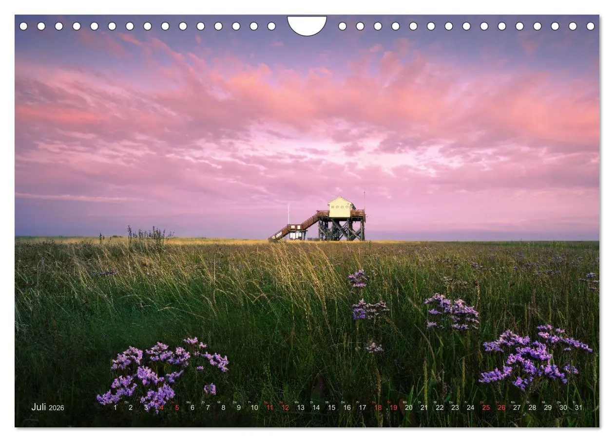 Bild: 9783457573358 | Wunderschönes Eiderstedt (Wandkalender 2026 DIN A4 quer), CALVENDO...