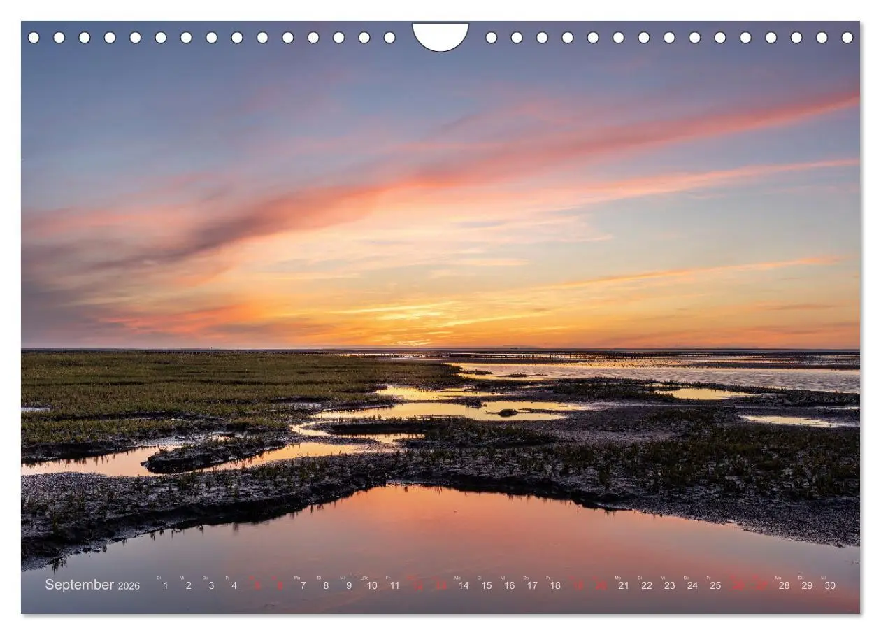 Bild: 9783457573358 | Wunderschönes Eiderstedt (Wandkalender 2026 DIN A4 quer), CALVENDO...