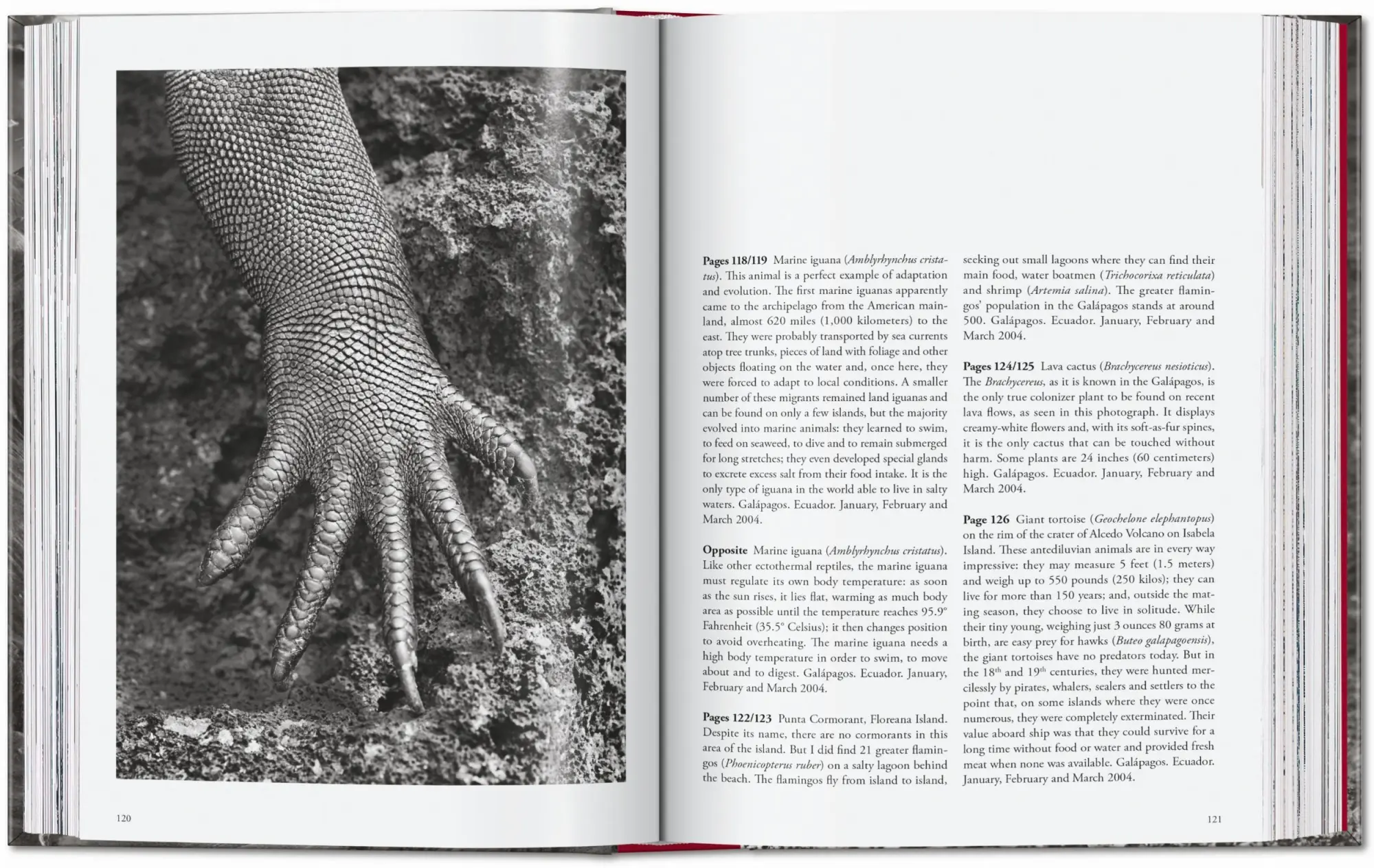 Bild: 9783754403358 | Sebastião Salgado. Genesis. 45th Ed. | Lélia Wanick Salgado | Buch