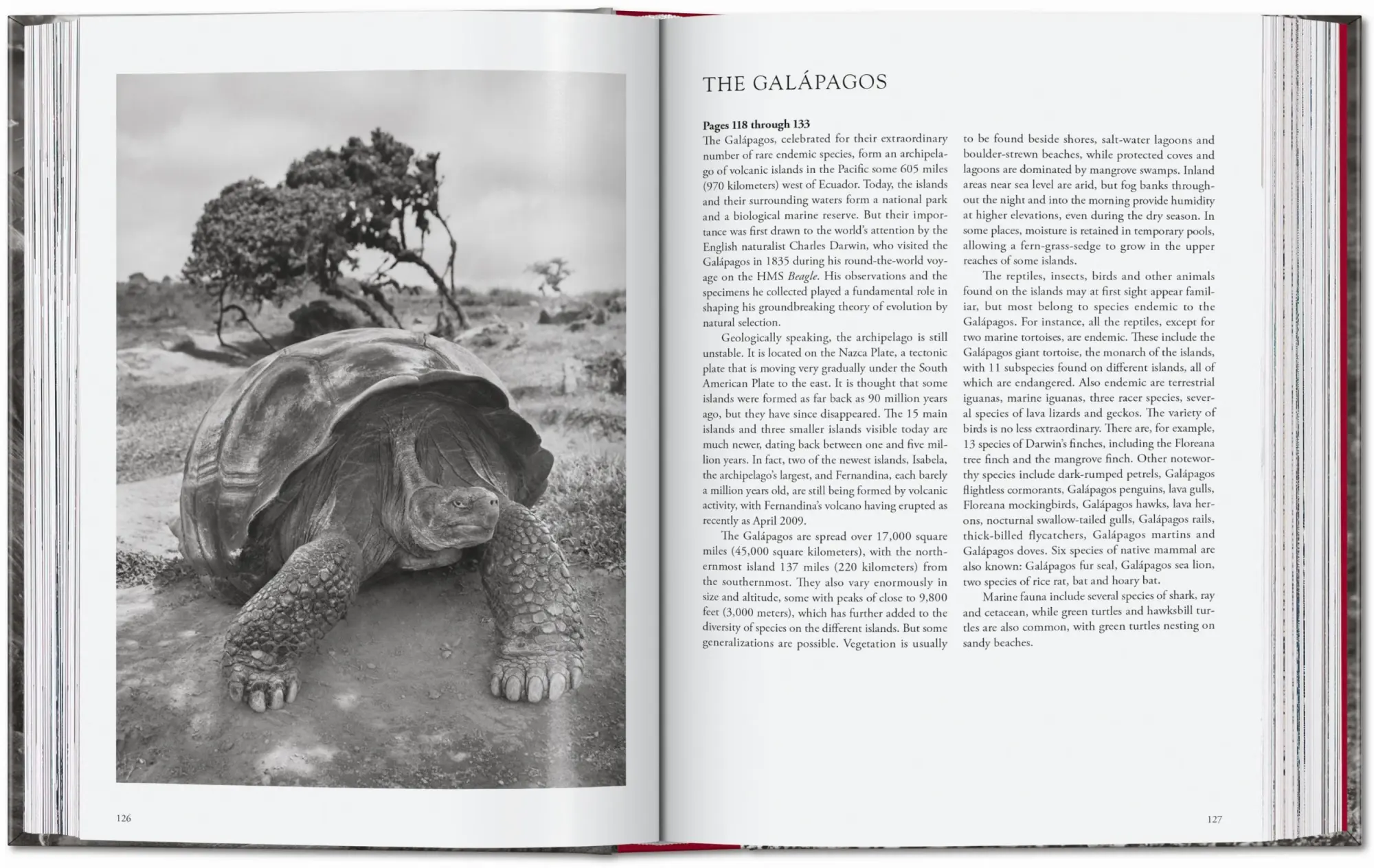 Bild: 9783754403358 | Sebastião Salgado. Genesis. 45th Ed. | Lélia Wanick Salgado | Buch