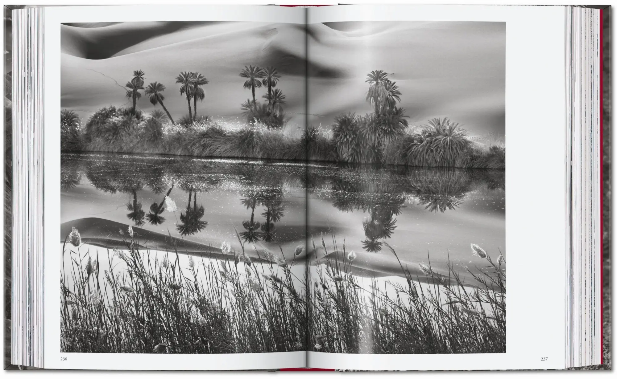 Bild: 9783754403358 | Sebastião Salgado. Genesis. 45th Ed. | Lélia Wanick Salgado | Buch